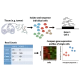 Scrna seq چیست