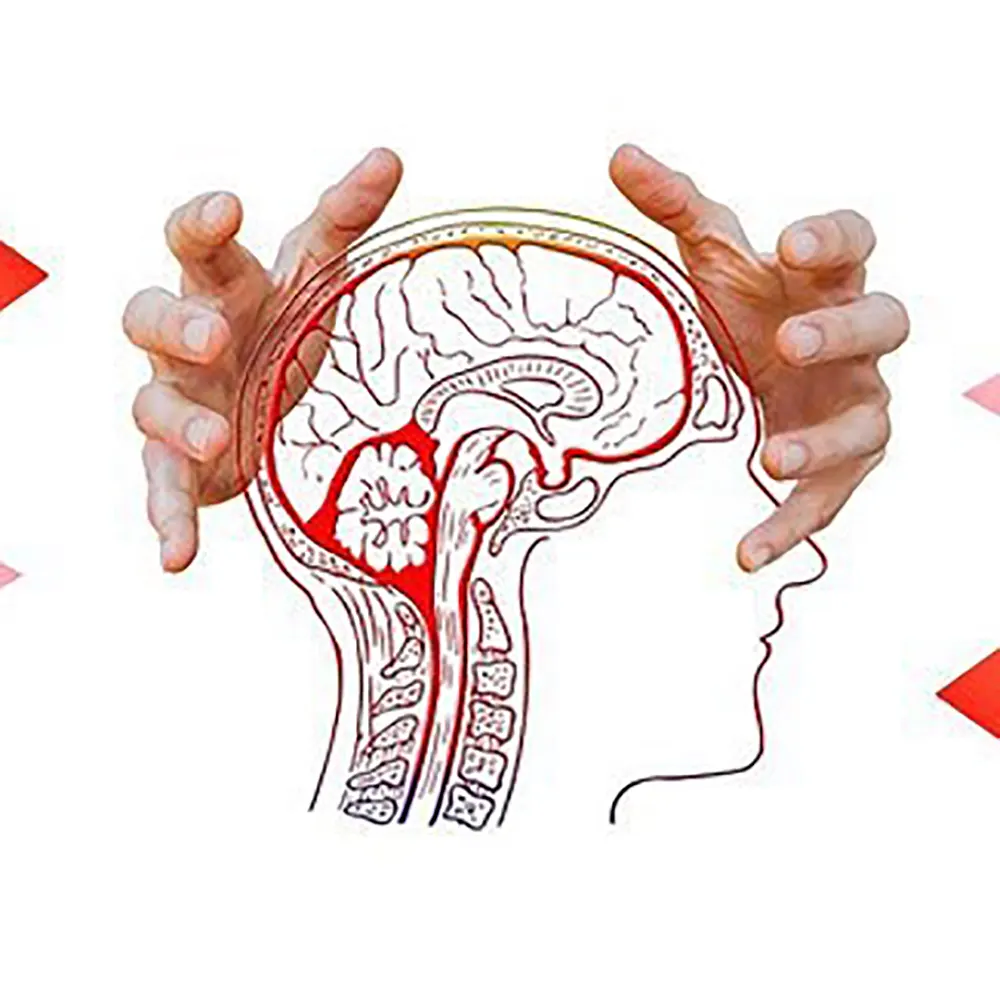 ٢٠ خبر مهم علوم اعصابي سال ٢٠١٧ از ديدگاه سایت neurosciencenews